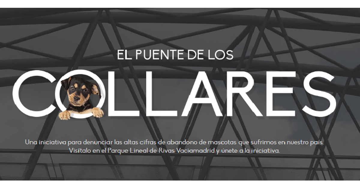 Leer mensaje completo: "El puente de los collares": iniciativa contra el maltrato animal
