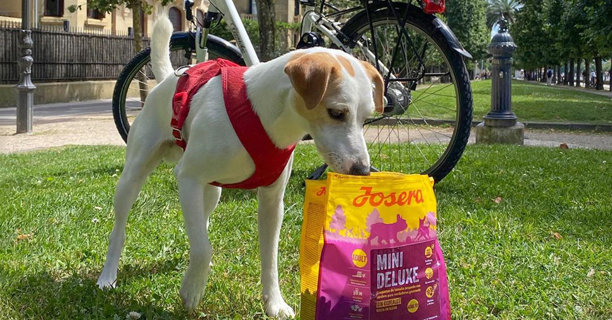 Read entire post: Josera y Trixie, orgullosos patrocinadores de la 3ª temporada de Pipper On Tour