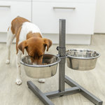 Dog Bar