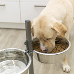 Dog Bar