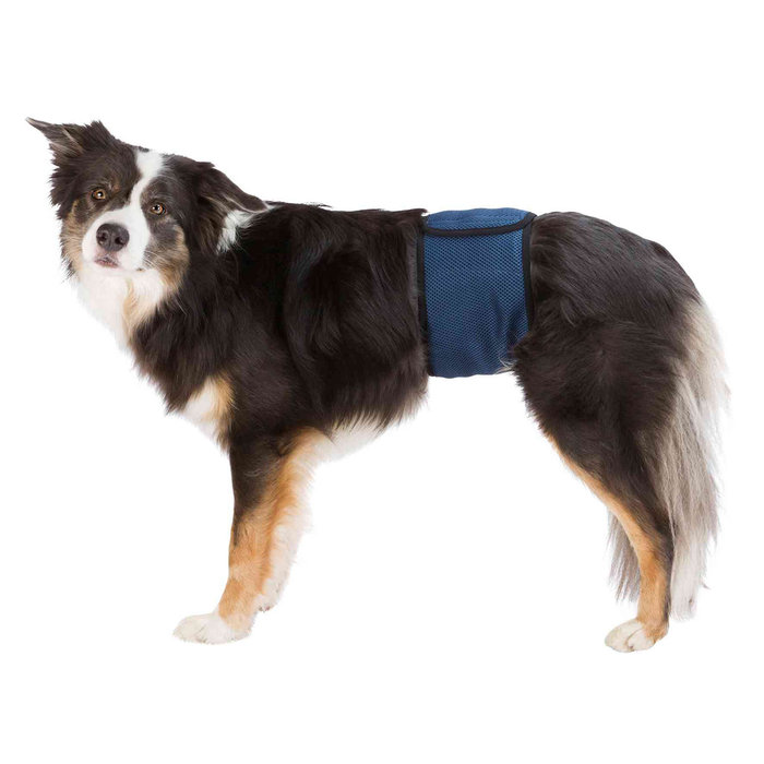 Banda Abdomen Perros Macho, S–M, 37–45 cm, Azul Oscuro