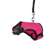 Arnés suave correa, Cobayas, 18-25 cm, 1.20 m