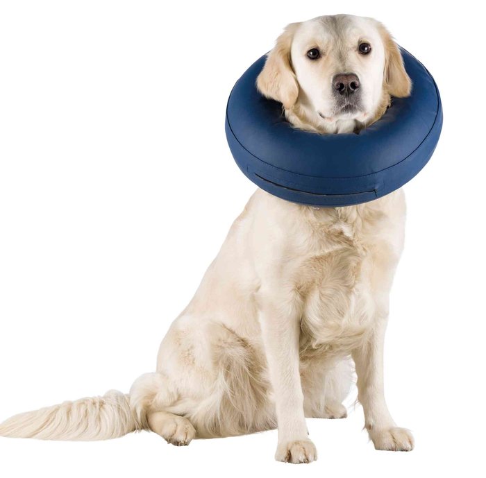 Collar Protector, Inflable, S-M, Azul