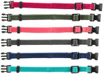 Junior set of puppy collars, M–L: 22–35 cm/10 mm, fuchsia, graphite, indigo, forest, coral, ocean